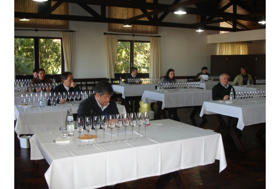 Avaliação dos melhores vinhos e espumantes terá início na próxima semana