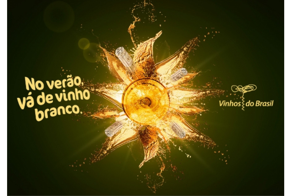 Campanha Promocional e Projeto Setorial são as duas primeiras ações para ampliar o consumo de vinhos no País